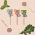 Modern Sprout | Seed Pops