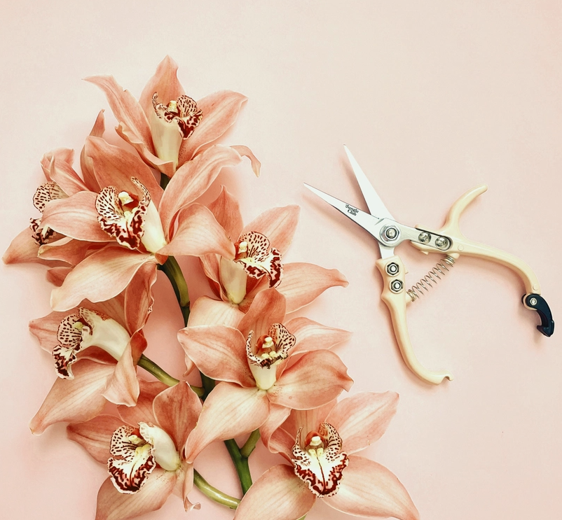 Pruning Shears - Vanilla