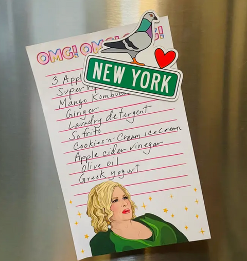 Nyc Pigeon Die Cut Magnet