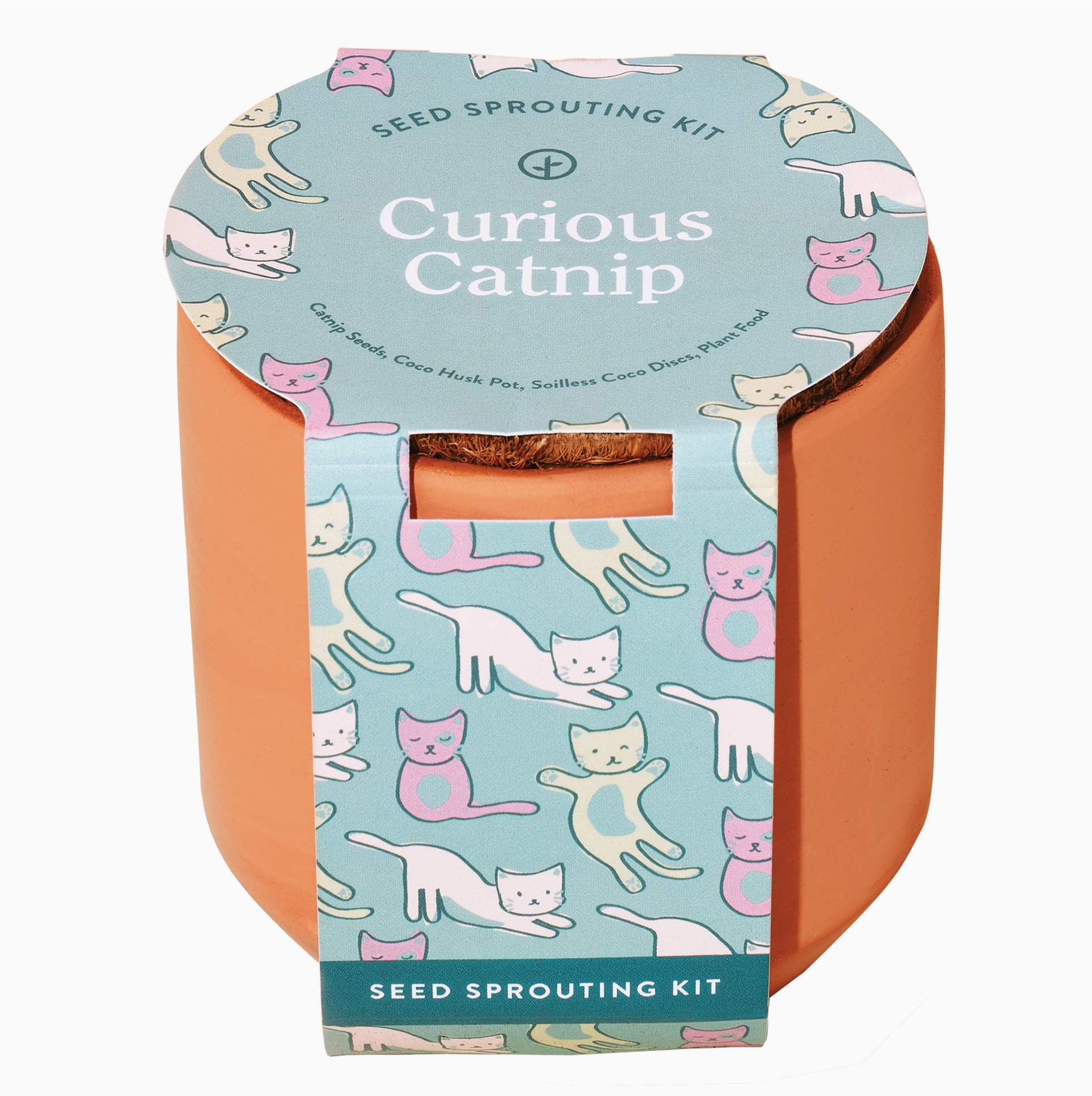 Tiny Terracotta Pet Grow Kit Curious Catnip
