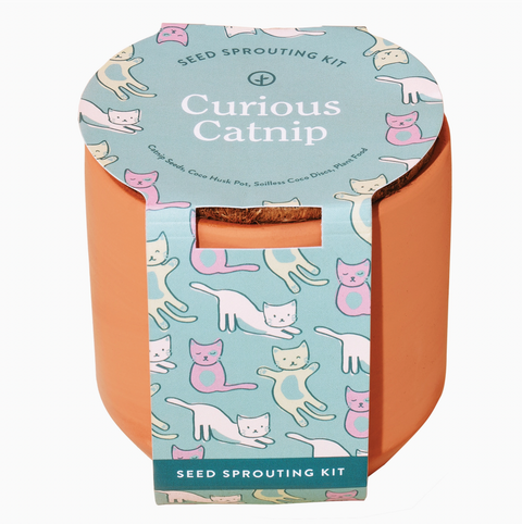 Tiny Terracotta Pet Grow Kits Curious Catnip