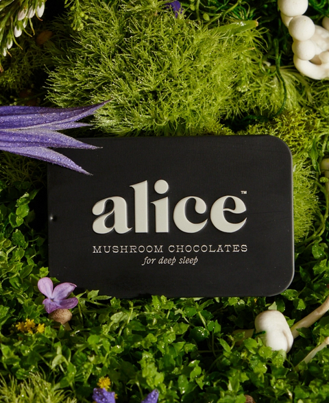 Nightcap — Mushroom Chocolates For Deep Sleep
