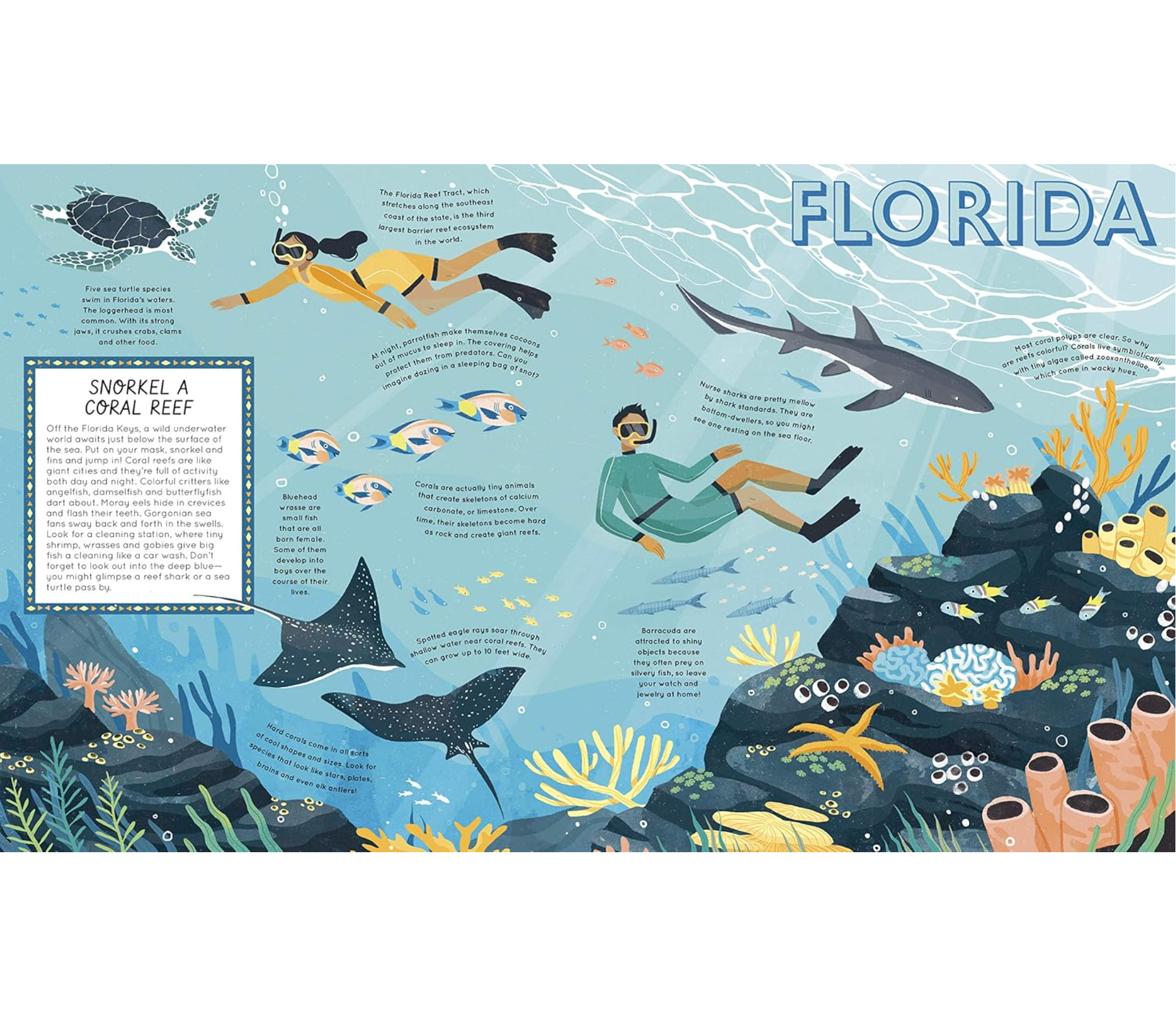 50 Adventures in the 50 States - Stay Forever