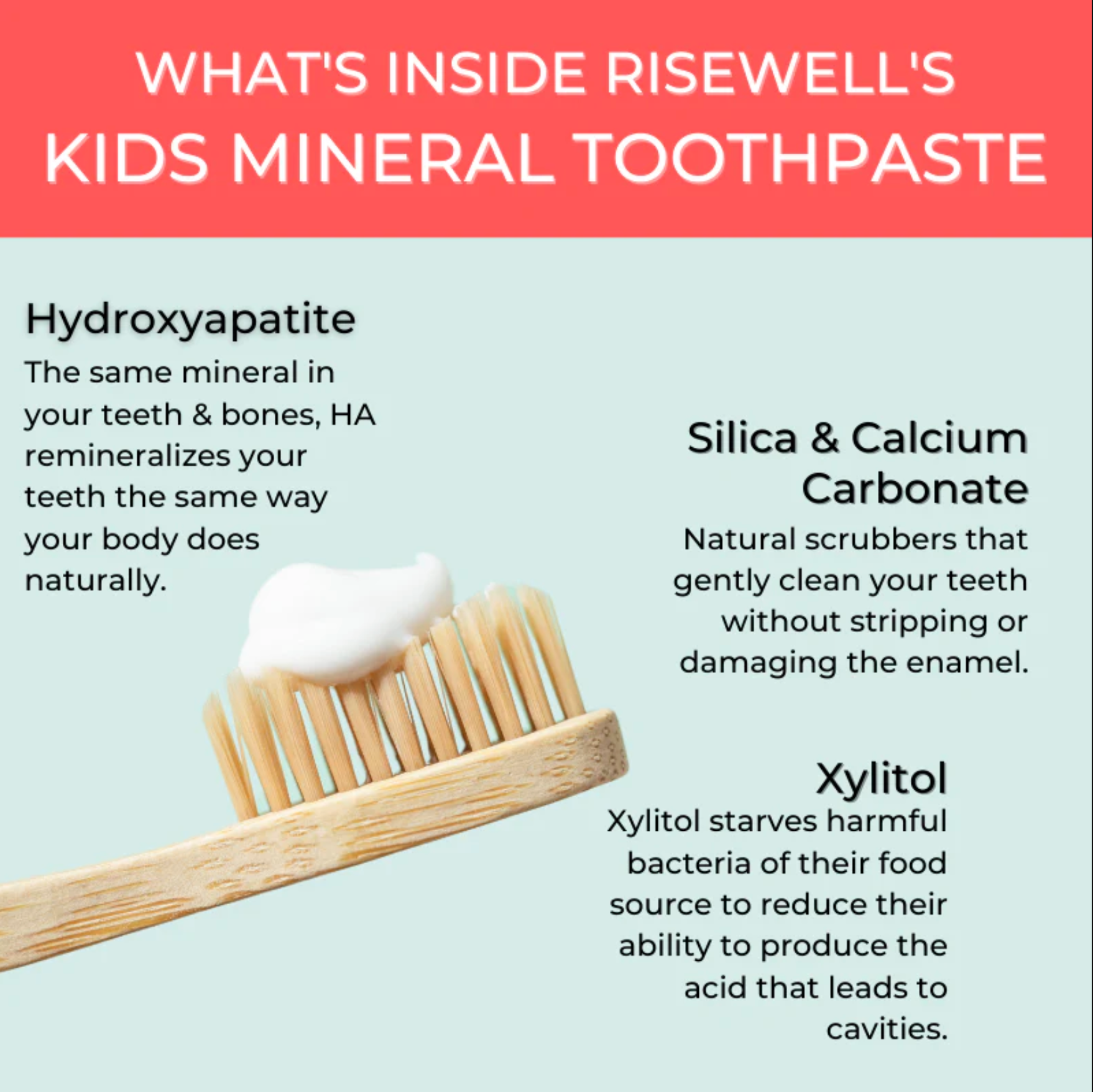 Risewell Mineral Toothpaste - Cake Batter