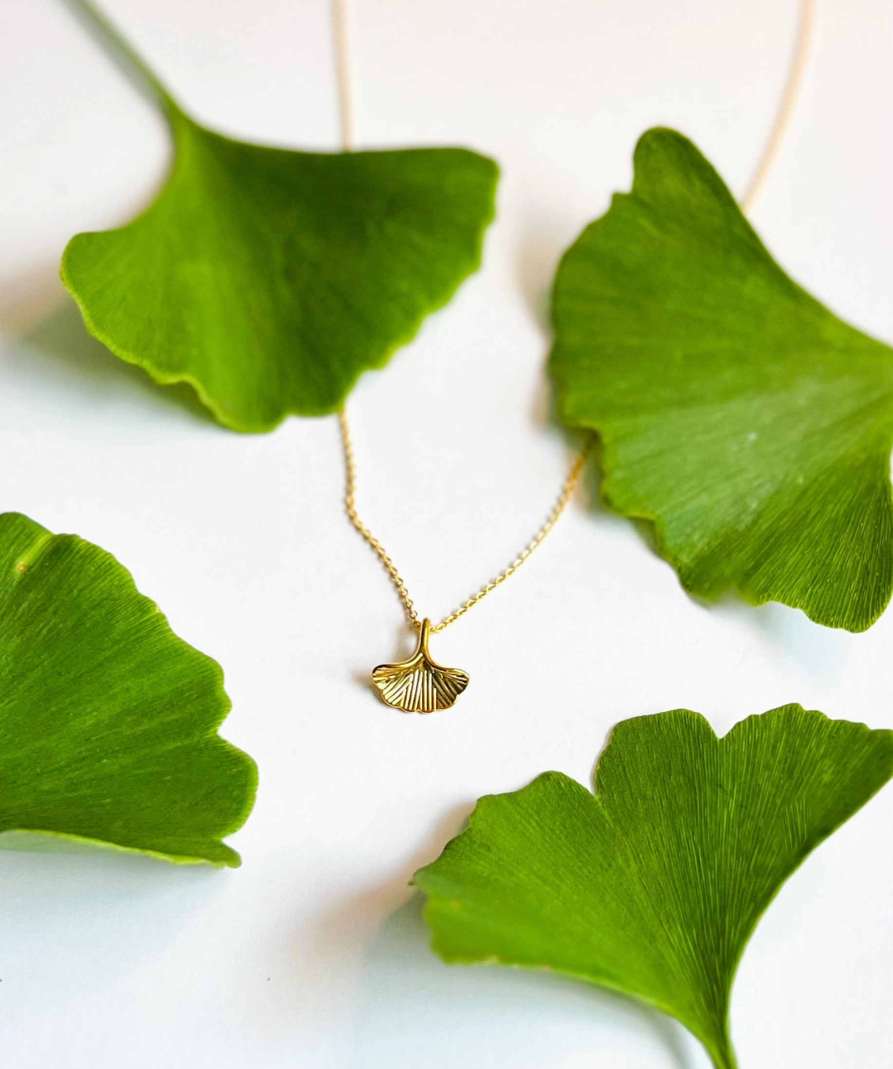 Gold Ginkgo Leaf Necklace