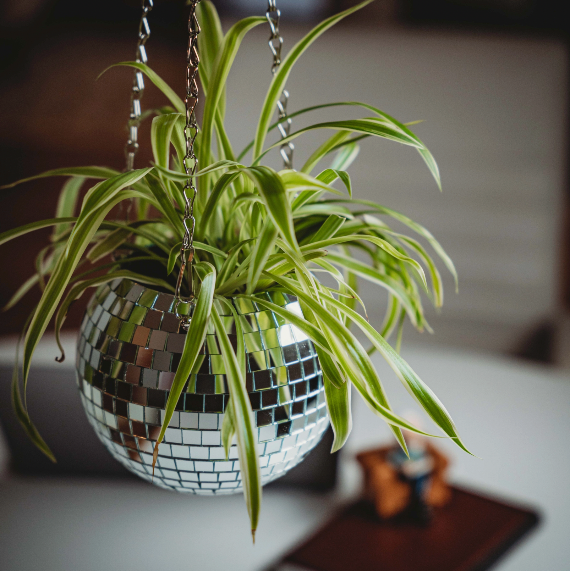 Disco Hanging Planter