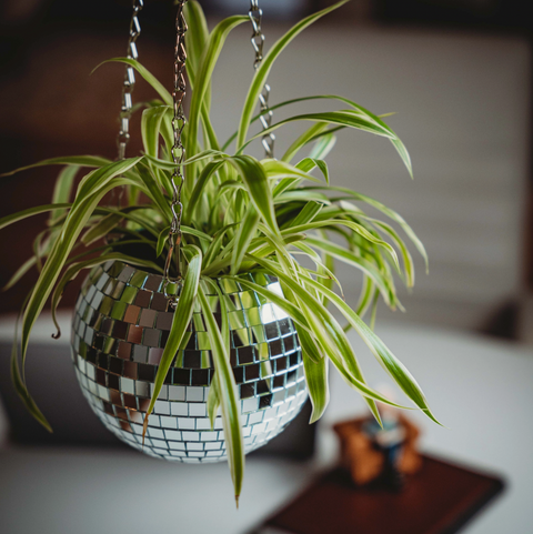 Disco Hanging Planter