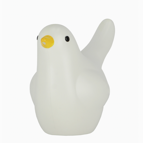 Bird Watering Can