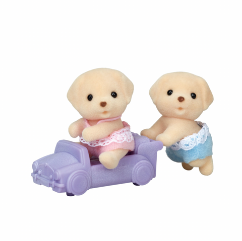 Yellow Labrador Twins