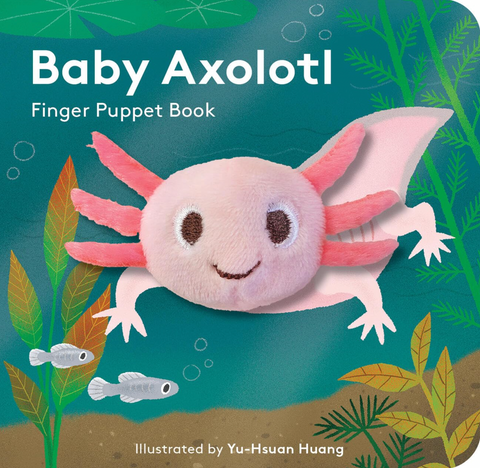 Baby Axolotl