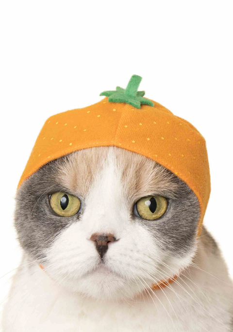 Cat Cap Blind Box (fruit)