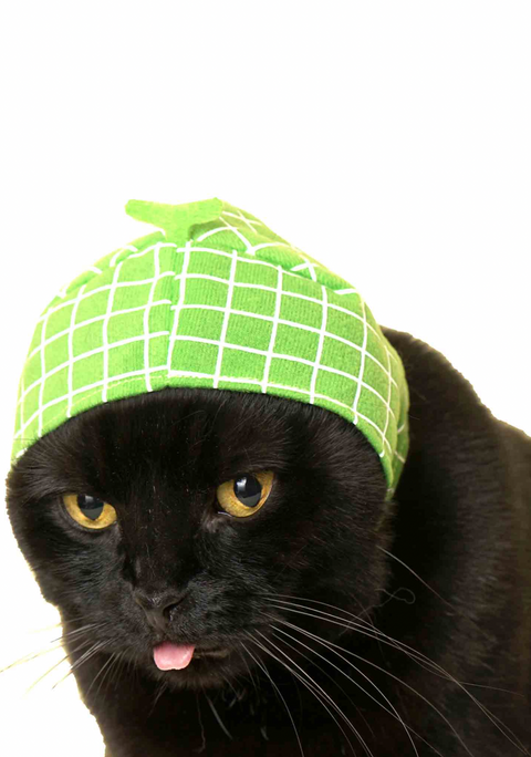 Cat Cap Blind Box (fruit)