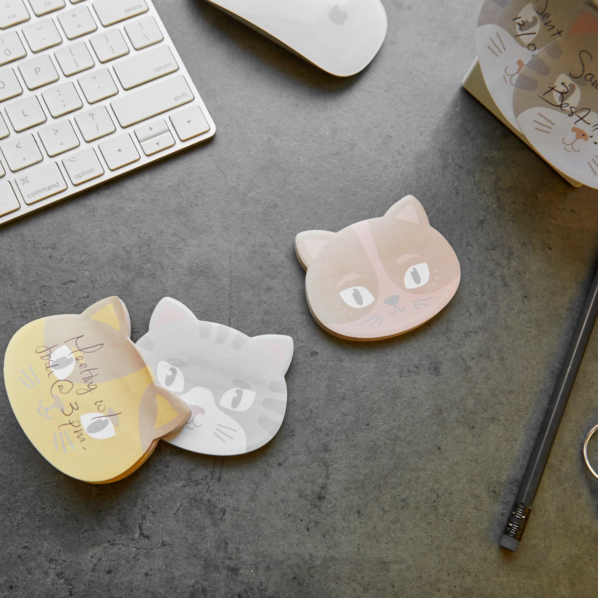 Kitty Cat Sticky Notes