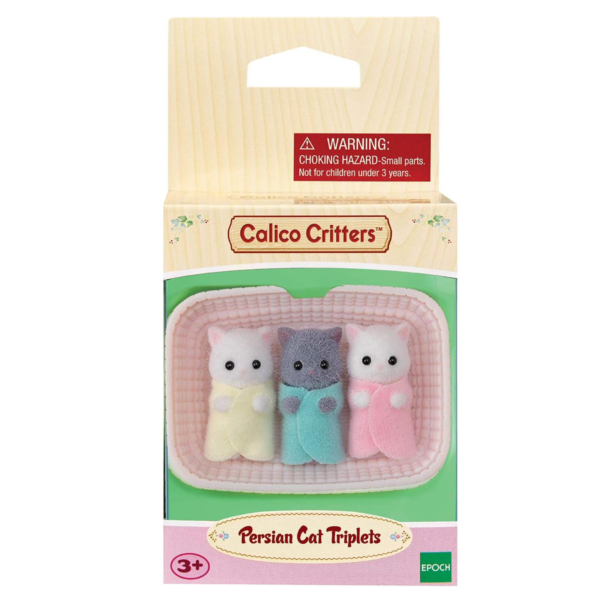 Persian Cat Triplets