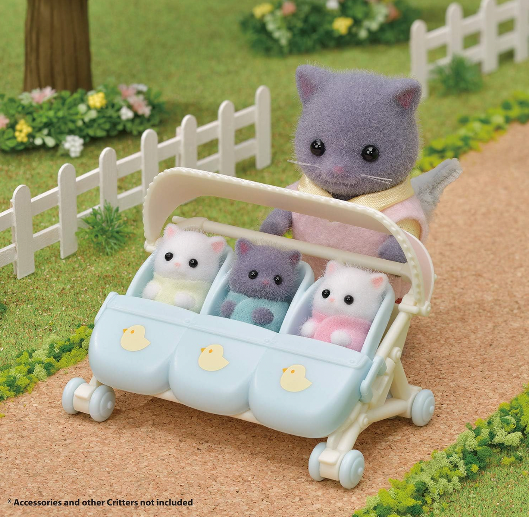 Persian Cat Triplets