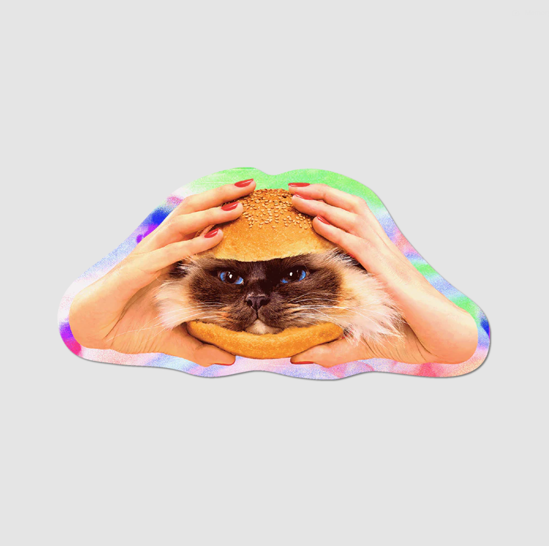 Holographic Catburger