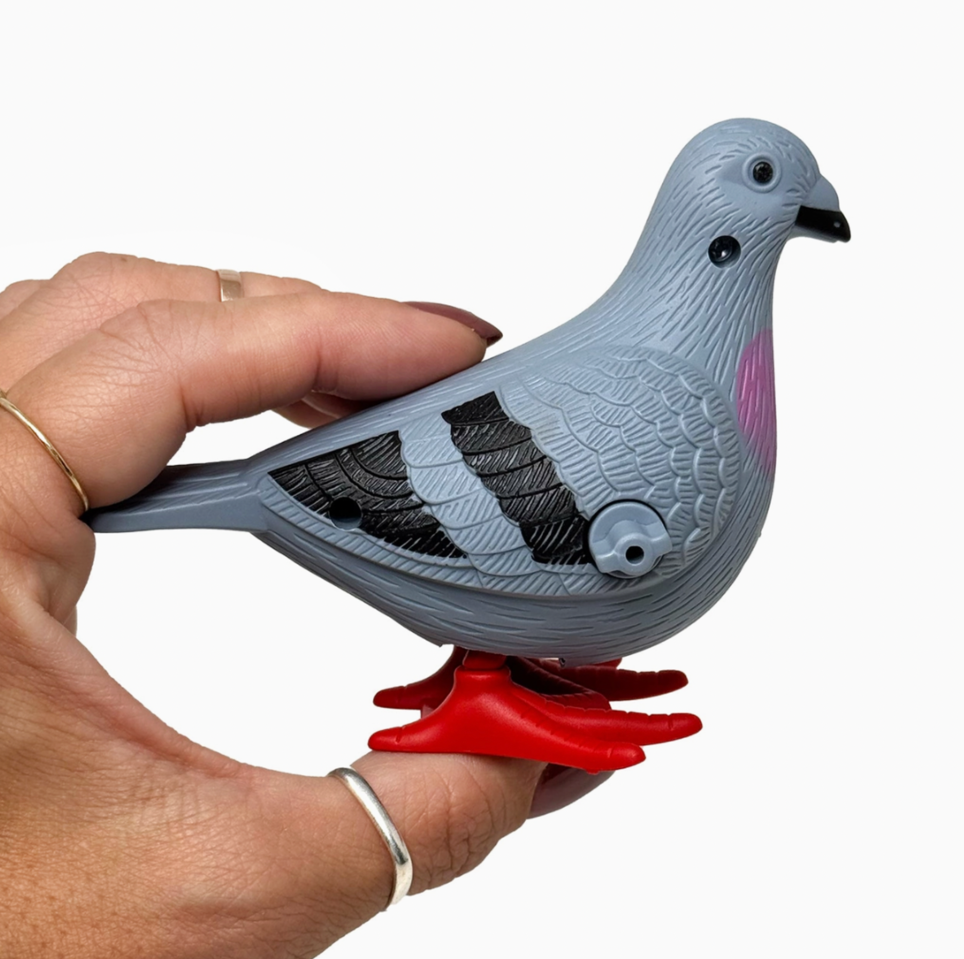 Wind Up Pigeon