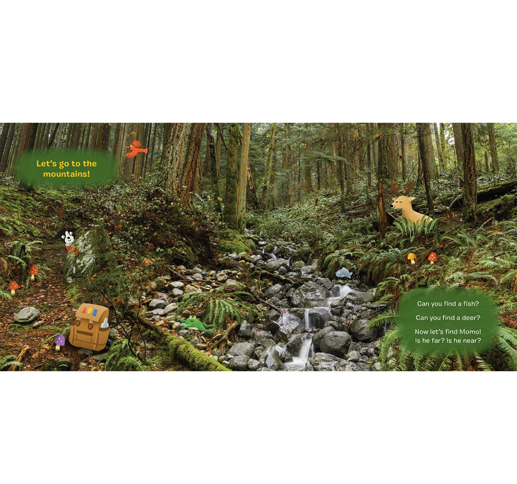 Find Momo Everywhere