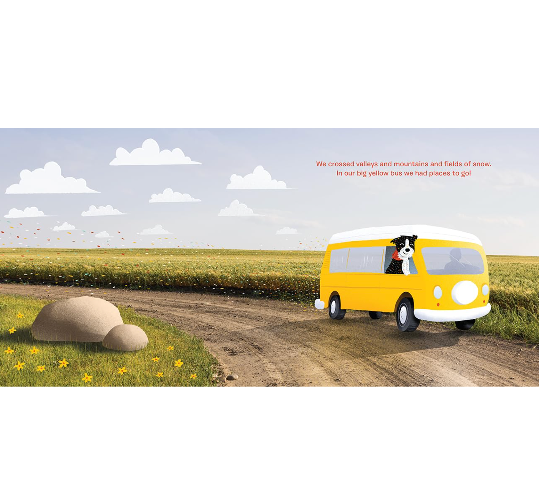 Find Momo Everywhere