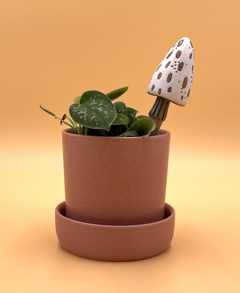 Spore Plant Stick
