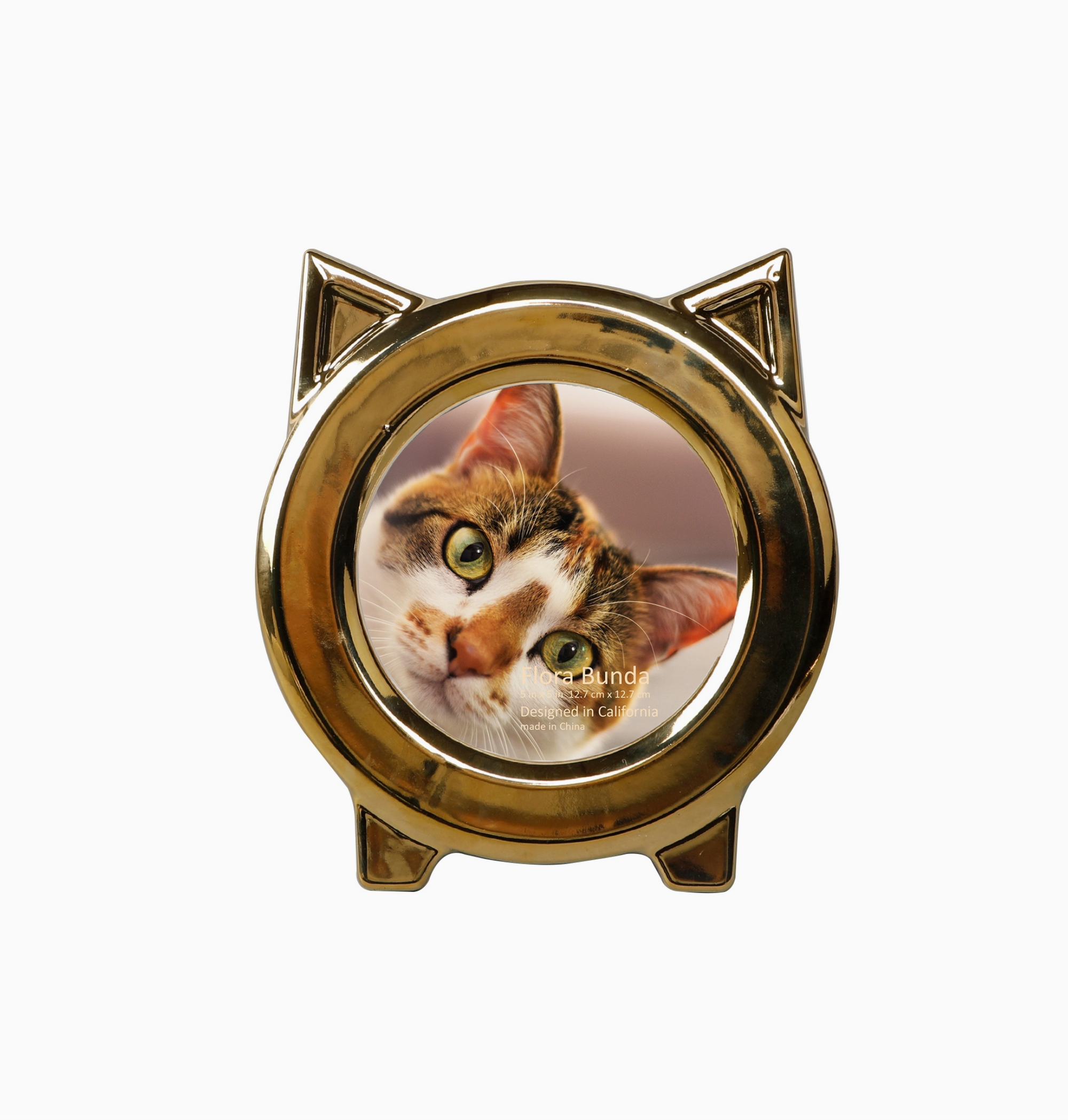 5 X 5 Cat Ear Ceramic Frame