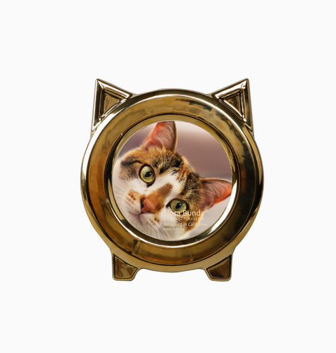 5 X 5 Cat Ear Ceramic Frame