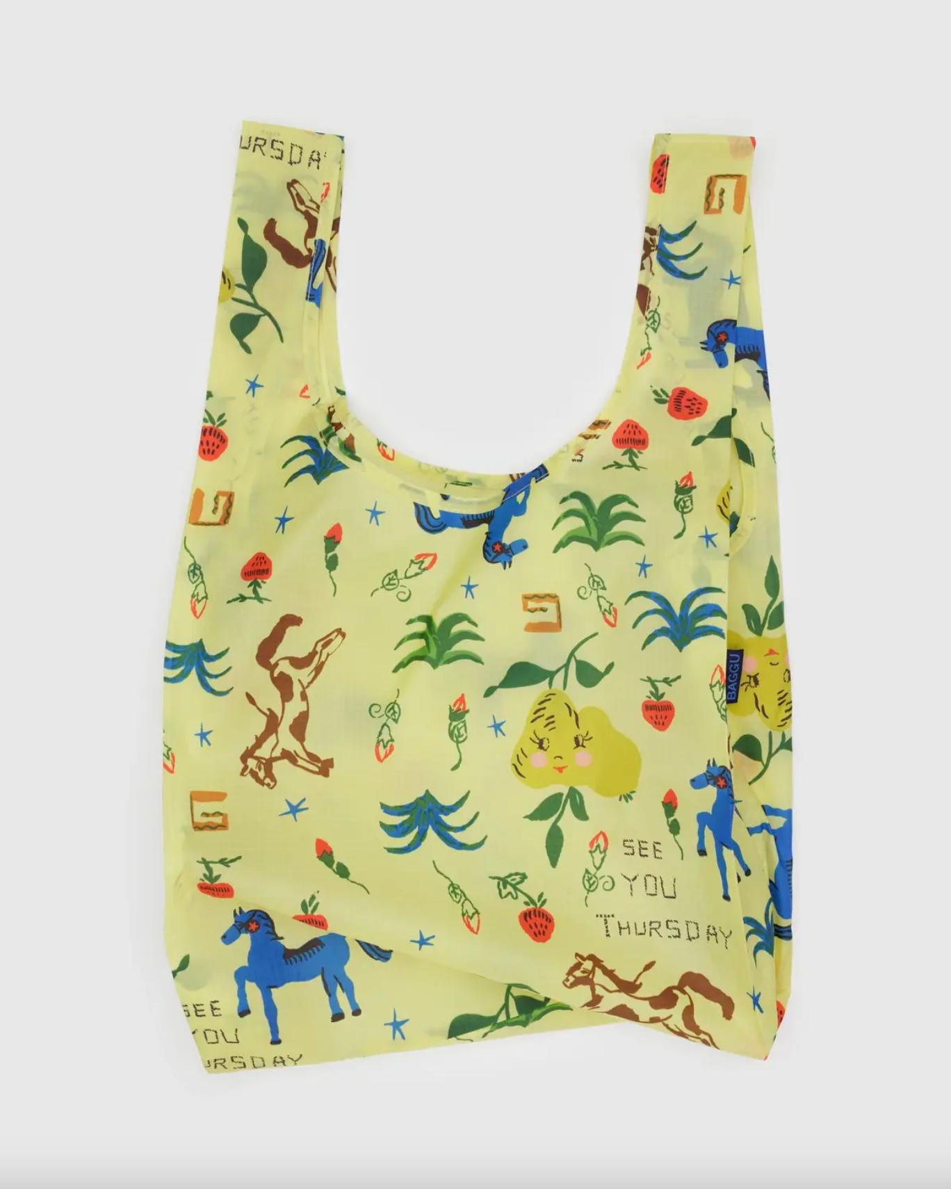 Standard Baggu - Painted Prairie