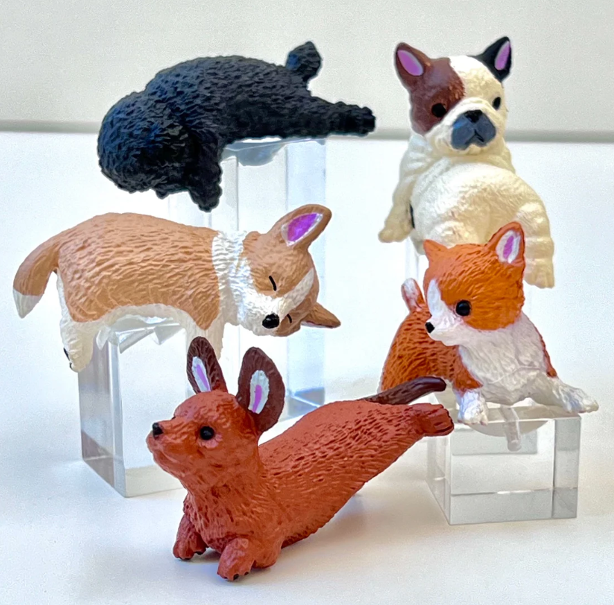 Playful Hanging Dogs - Blind Box - Stay Forever