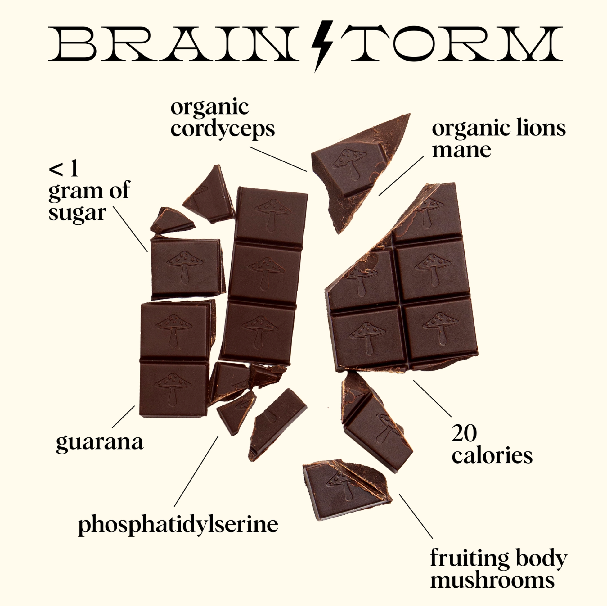 Brainstorm Mushroom Chocolate For Focus - Stay Forever