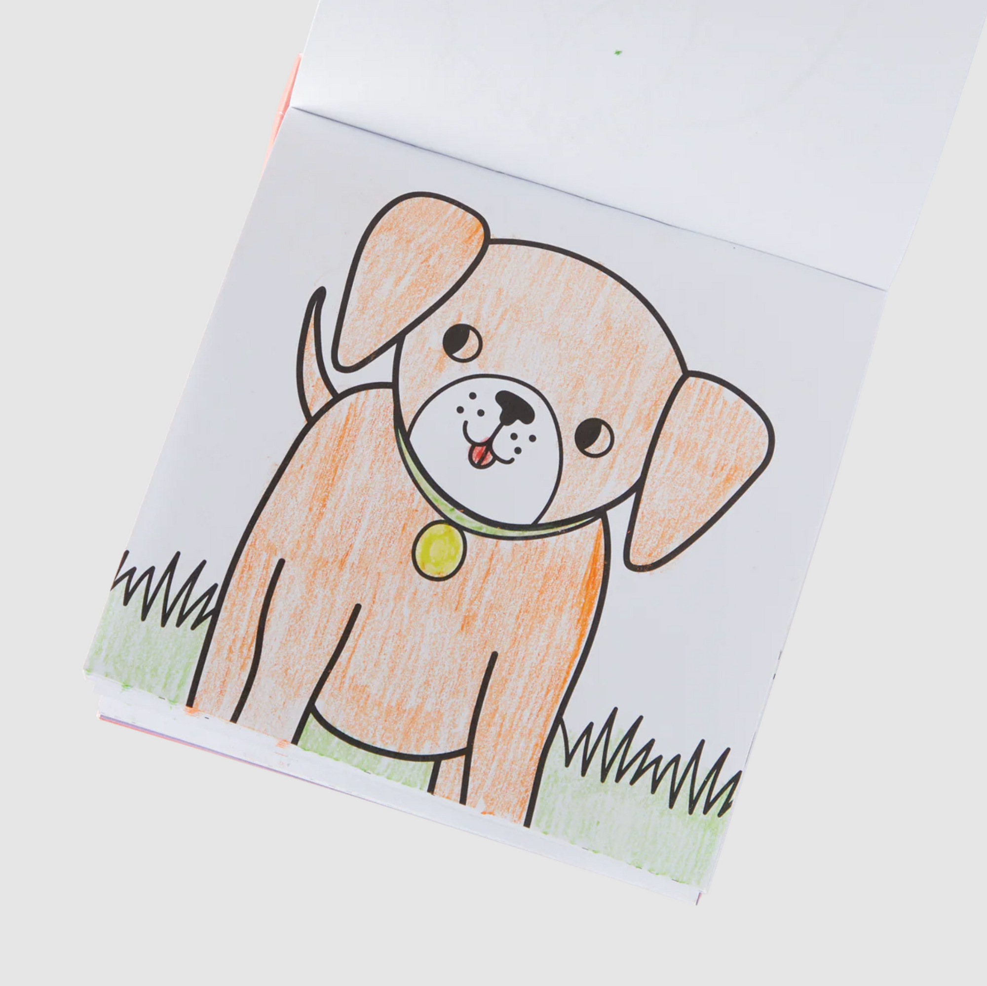 Carry Along Crayons & Coloring Book Kit - Pet Pals