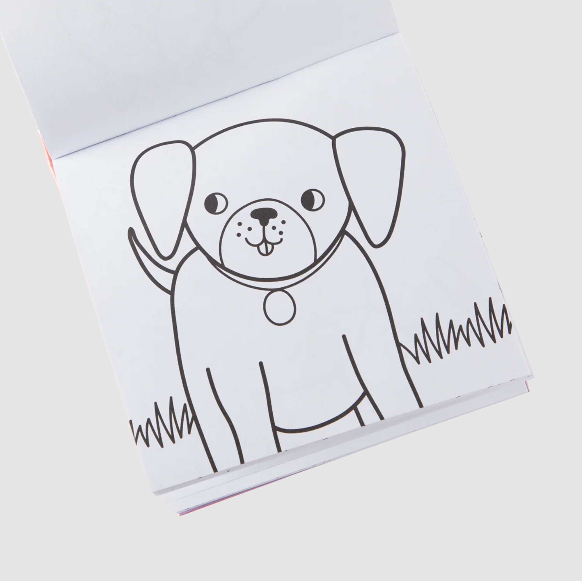 Carry Along Crayons & Coloring Book Kit - Pet Pals