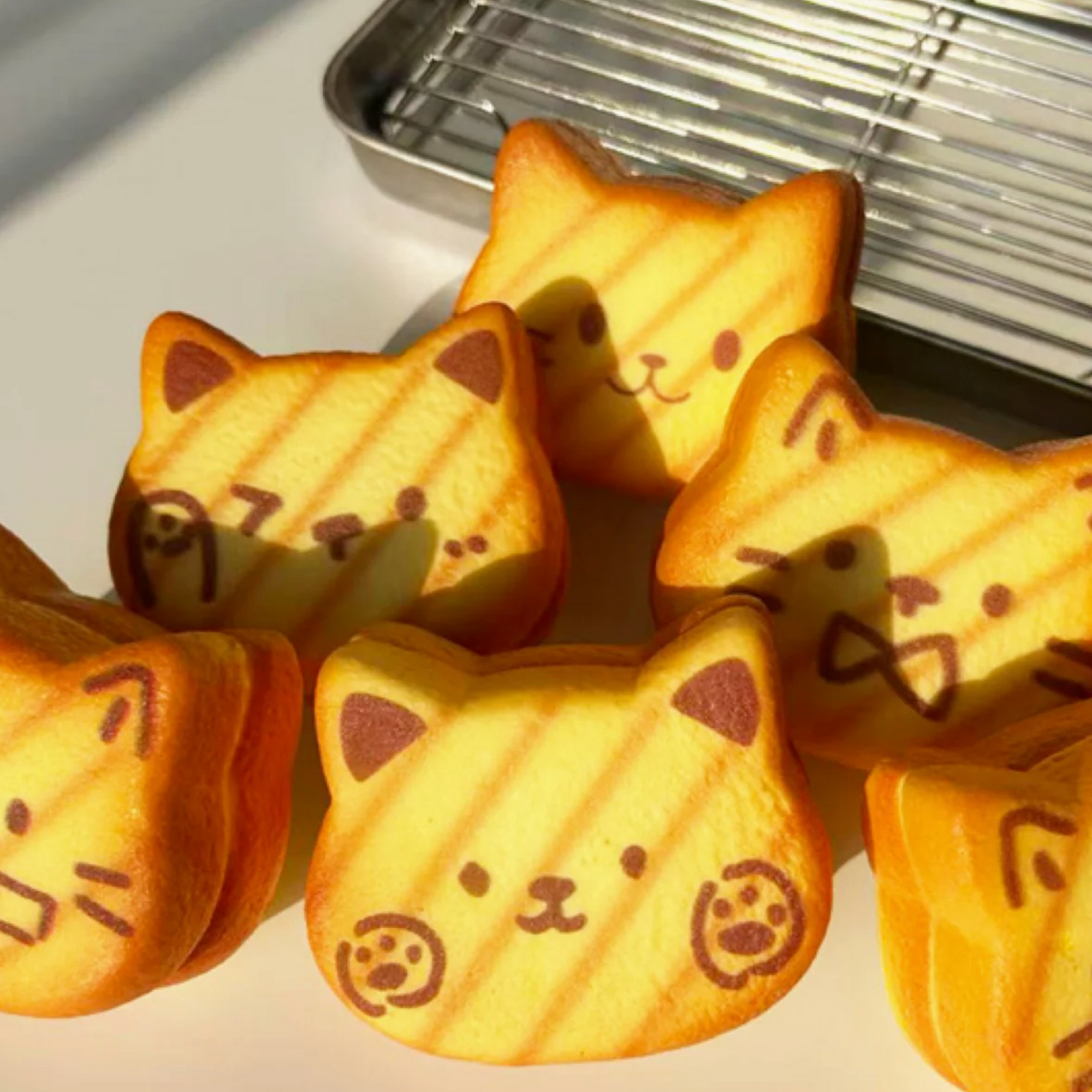Nyang Cat Bread Sensory Squishy
