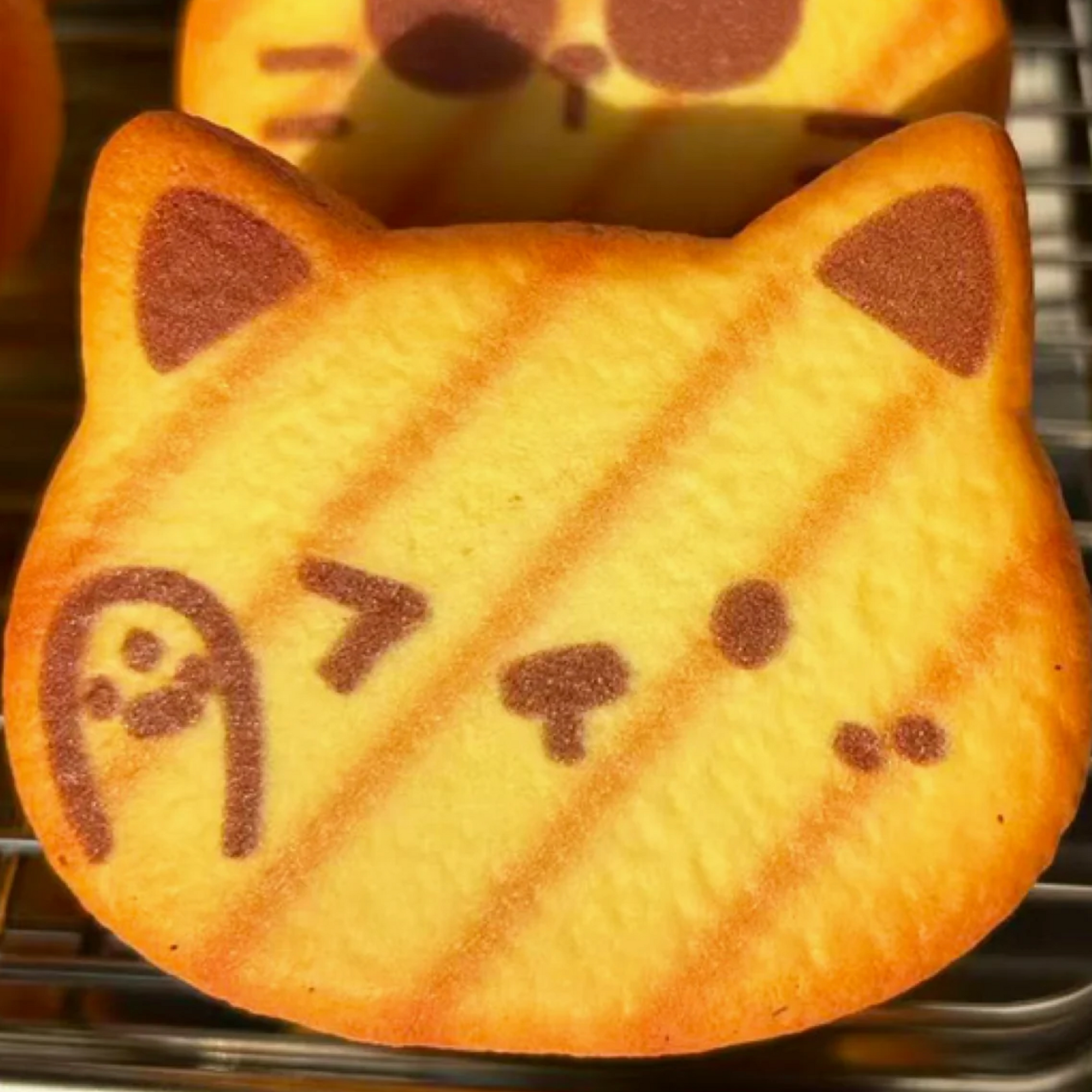 Nyang Cat Bread Sensory Squishy