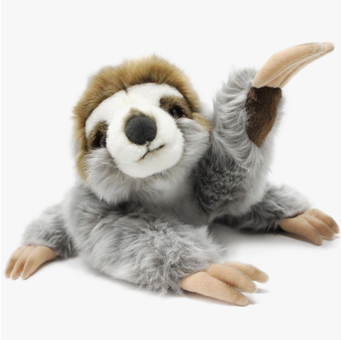 Siggy the Threetoed Sloth Baby