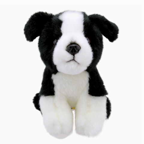 Wilberry Minis: Border Collie