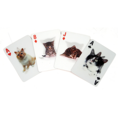 Playing Cards Cats 3D