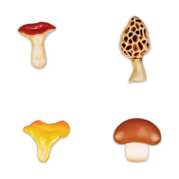 Mushroom Magnet