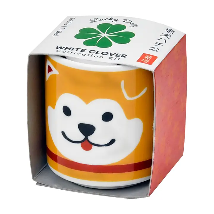 Lucky Plant - Hachi Dog - Stay Forever