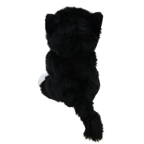 Wilberry Favourites: Cat