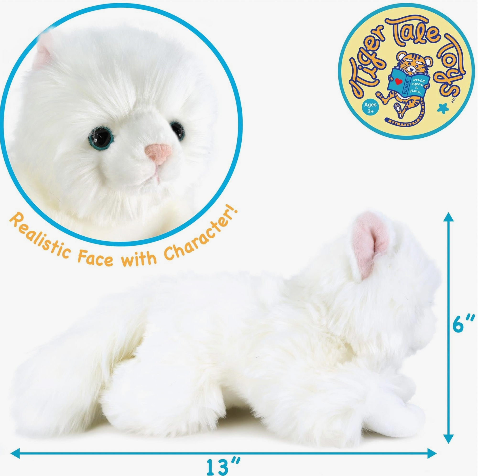 Puff the Persian Cat