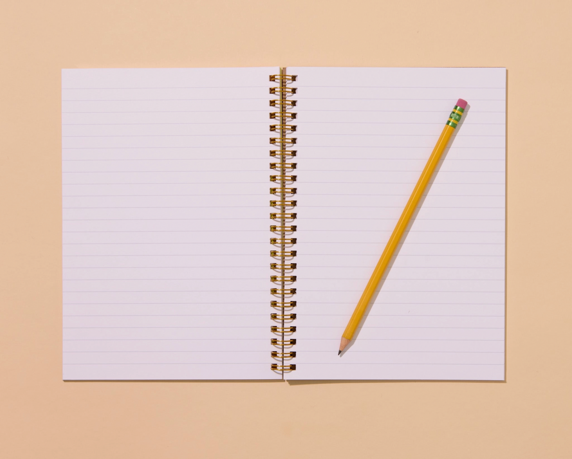 Hot Dogs Letterpress Spiral Notebook