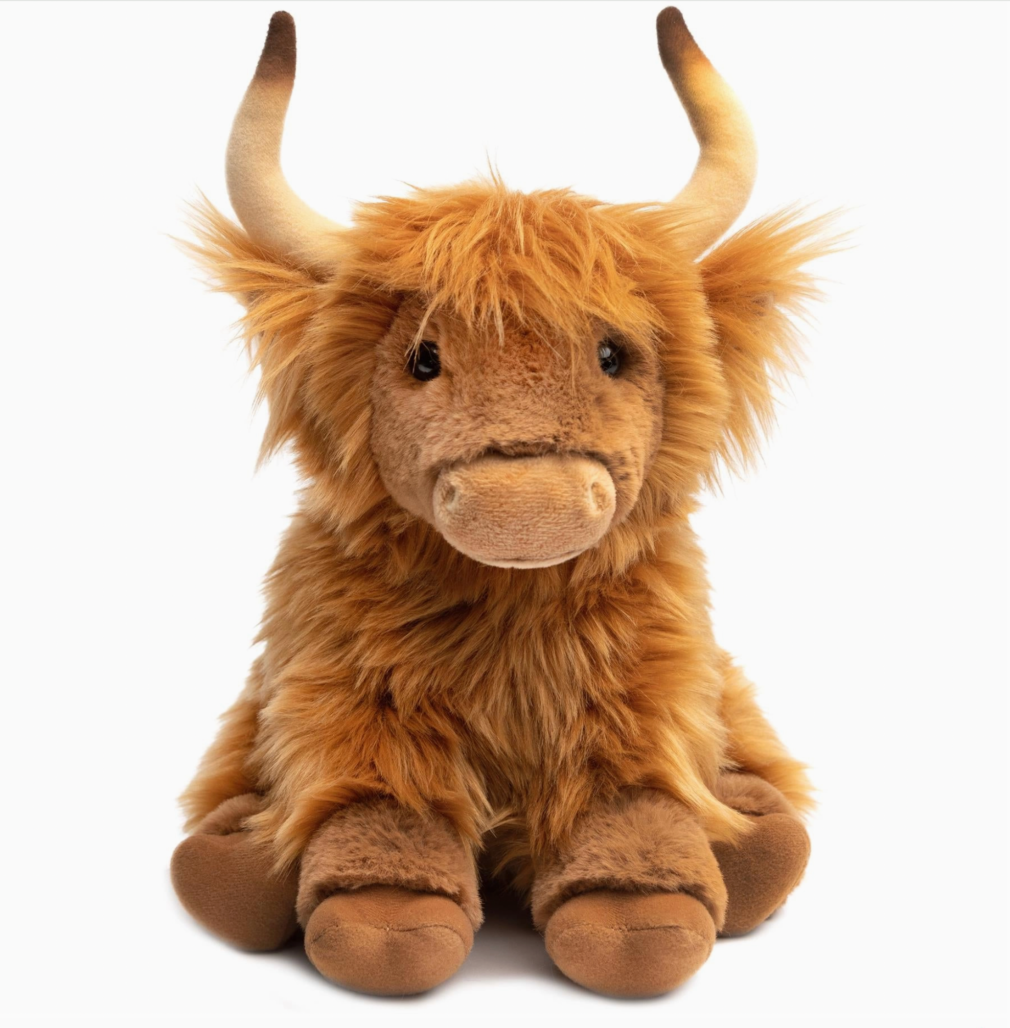 Henley the Highland Cow
