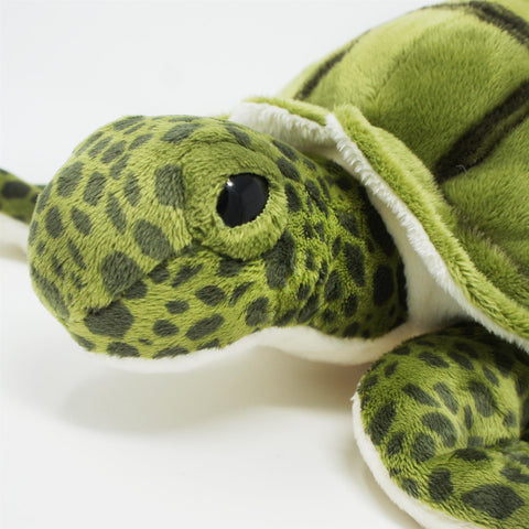 Turquoise the Green Sea Turtle
