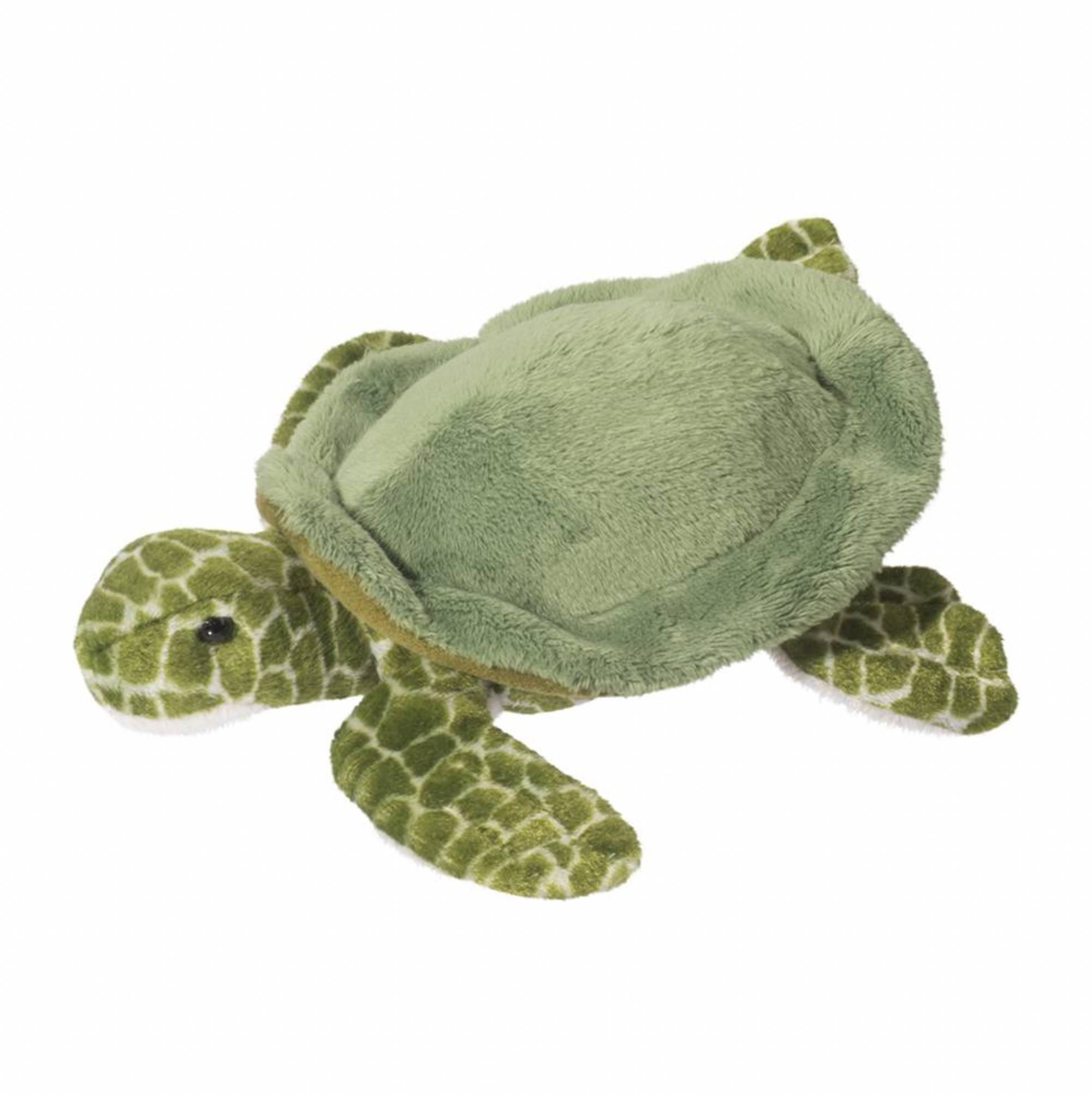 Tillie Sea Turtle