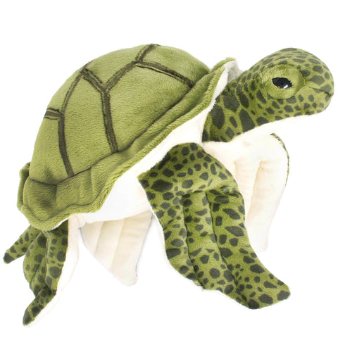 Turquoise the Green Sea Turtle