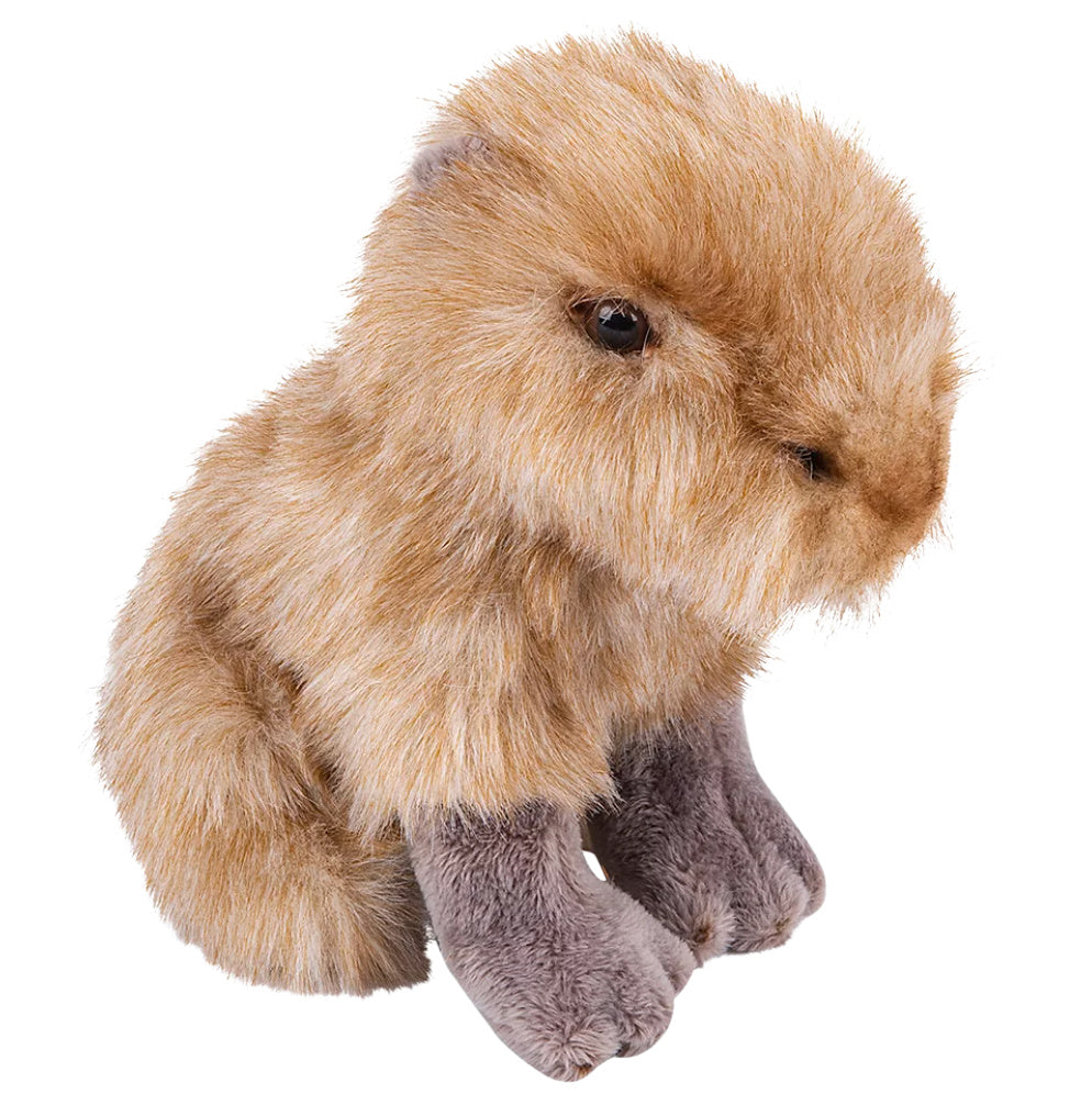 Capybara Plush