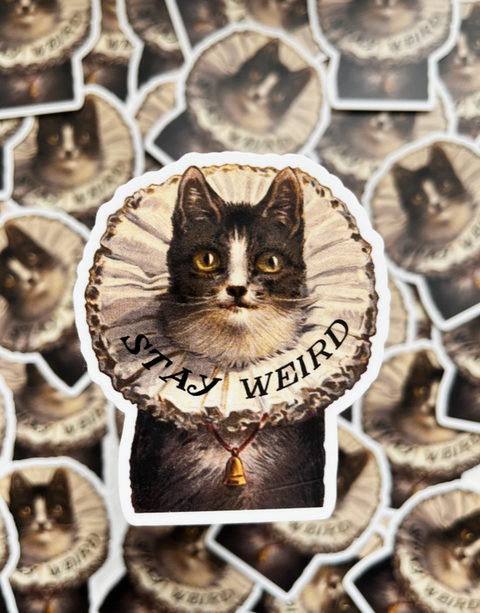 Stay Weird Kitty Sticker