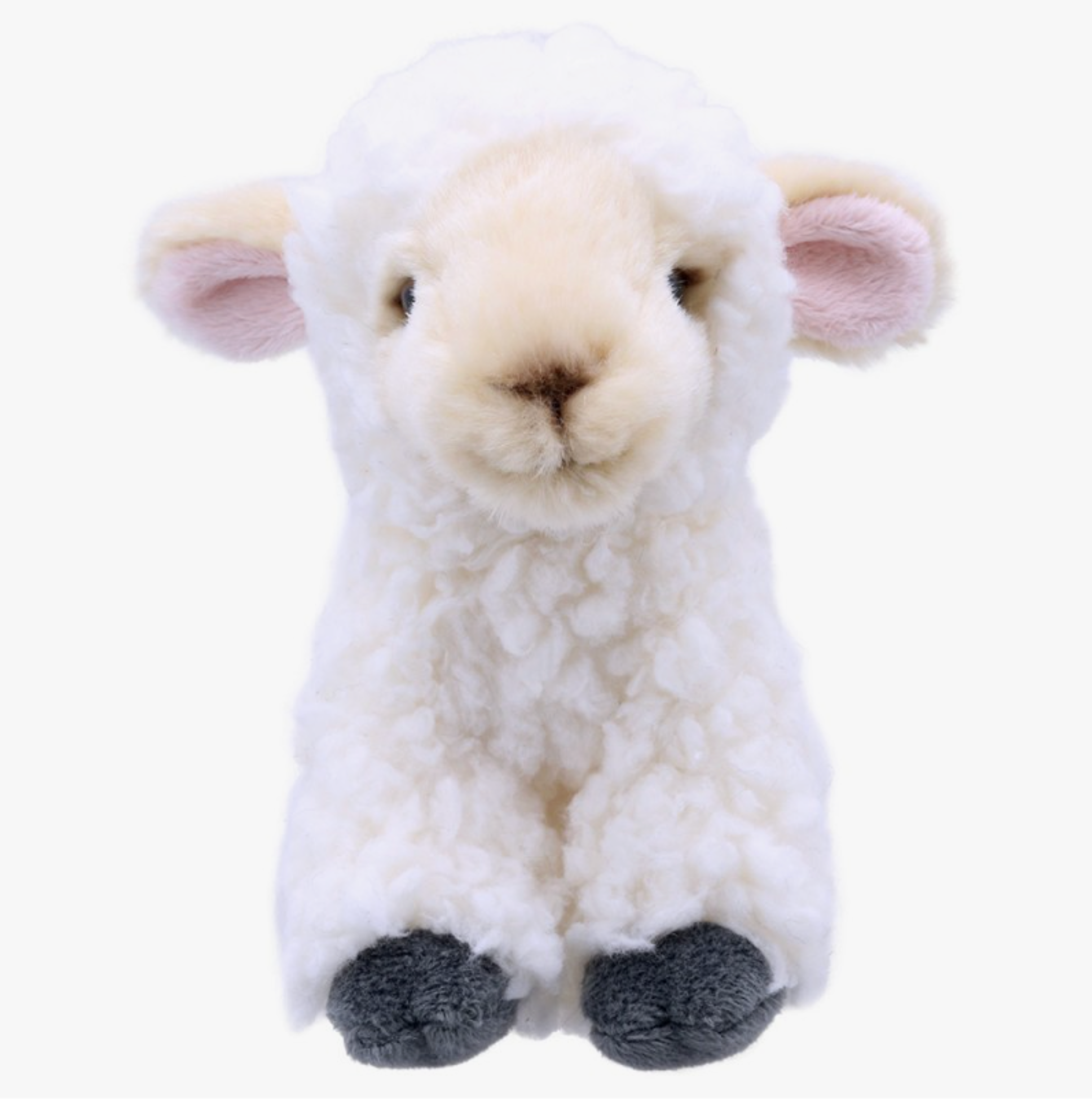 Wilberry Minis: Lamb