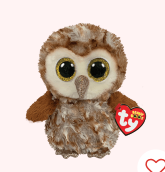 PERCY - barn owl reg - Stay Forever