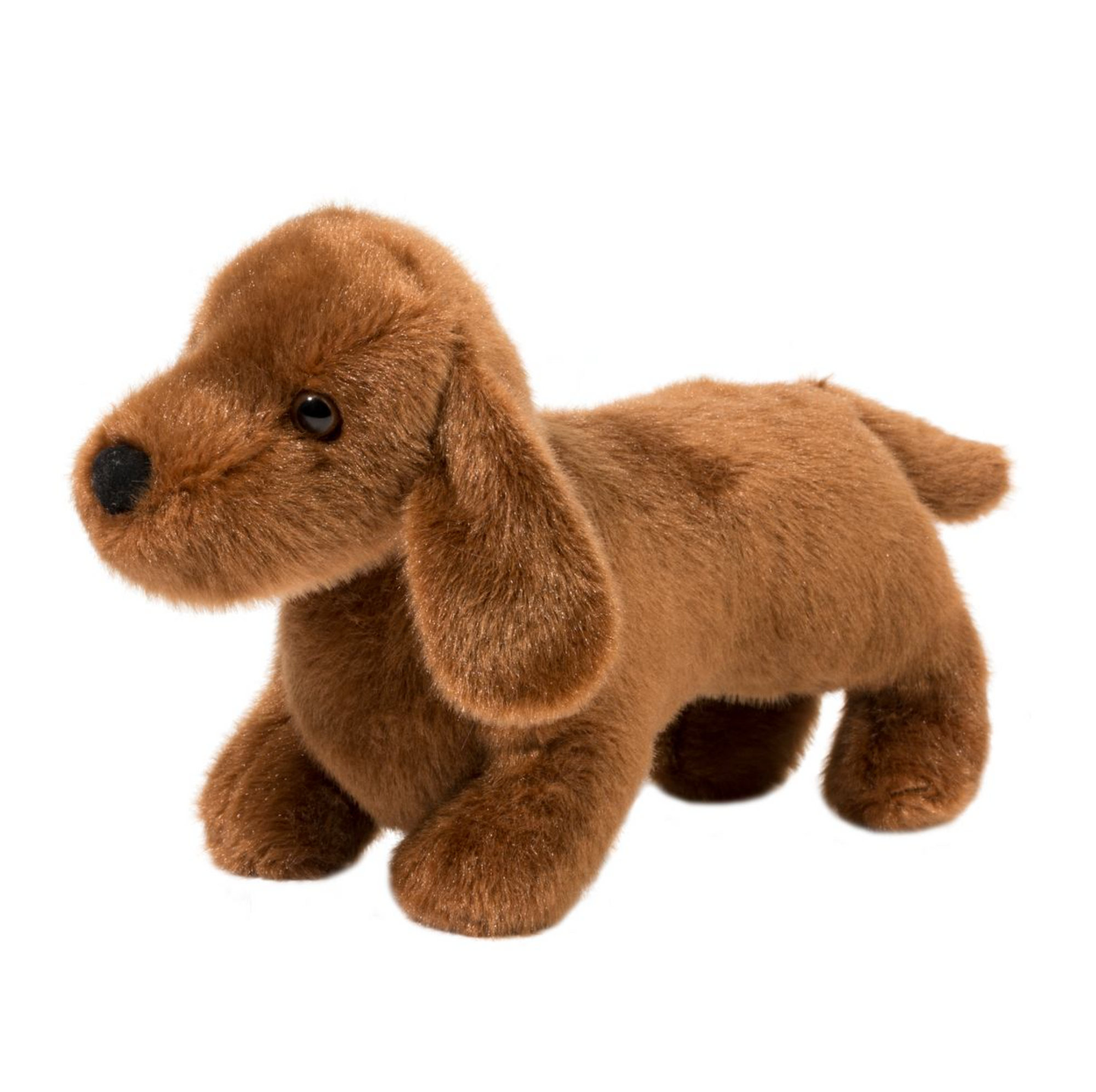Dilly Dachshund